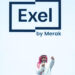 Exel by Merak Welcomes 19 Startups Into Its Gaming Accelerator